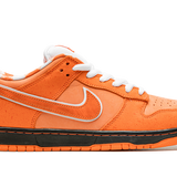 Nike SB Dunk Concepts Orange Lobster