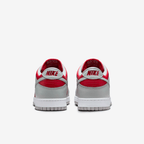 Nike Dunk Low Varsity Red and Silver