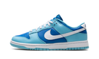 Nike Dunk Low Retro Argon