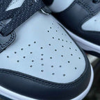 Nike Dunk Low Georgetown