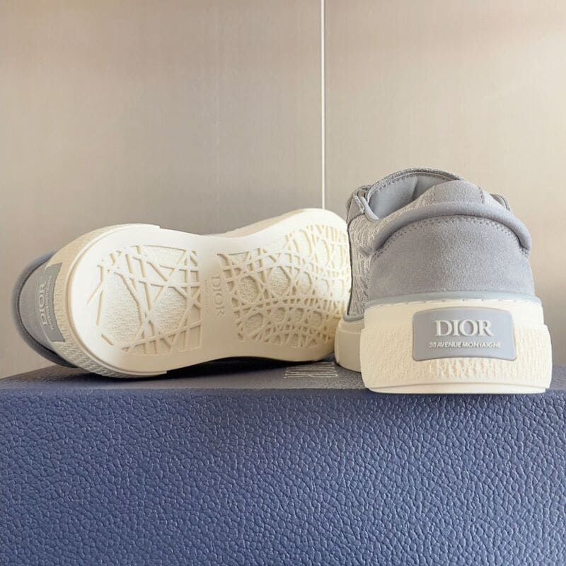 Dior B33 Gray White