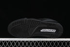 Air Jordan 3 Black Cat