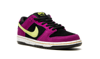 Nike SB Dunk Low ACG Terra Red Plum