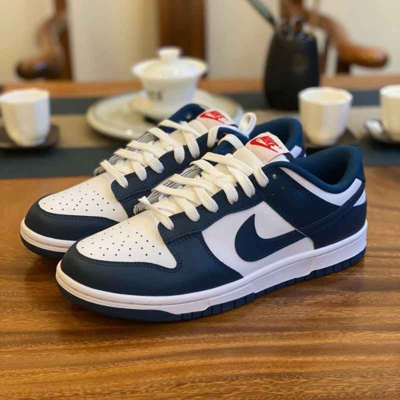 Nike Dunk Low Valerian Blue