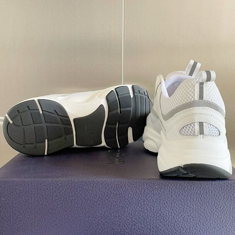 Dior B22 'White Grey'
