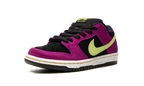 Nike SB Dunk Low ACG Terra Red Plum