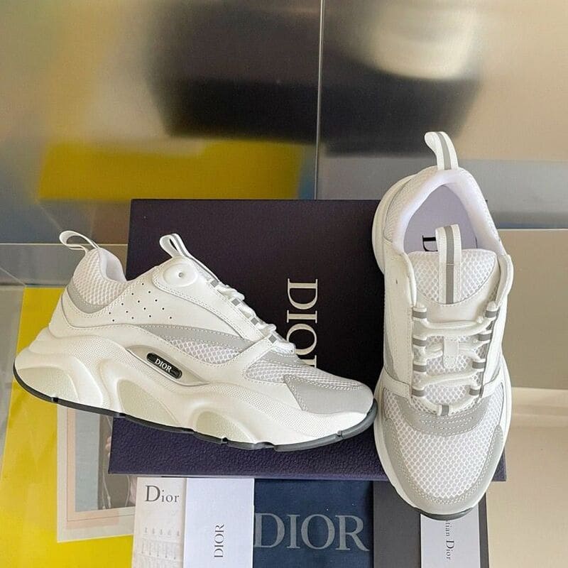 Dior B22 'White Grey'